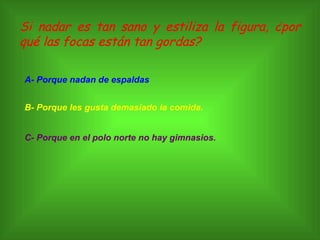 Si nadar es tan sano y estiliza la figura, ¿por qué las focas están tan gordas? A- Porque nadan de espaldas B- Porque les gusta demasiado la comida. C- Porque en el polo norte no hay gimnasios. 