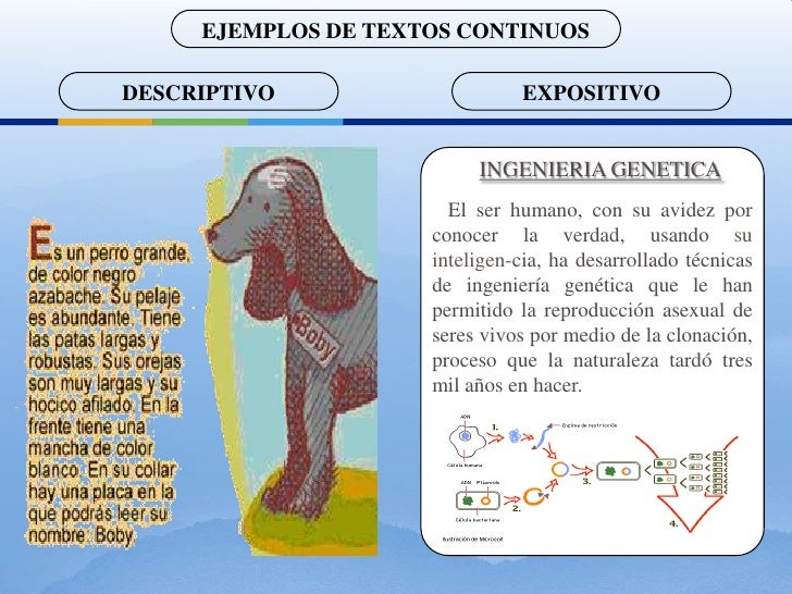 EL TEXTO