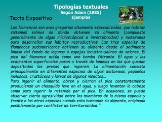 Tipologías textuales
Según Adam (1985)
EjemplosTexto Expositivo
Los flamencos son aves gregarias altamente especializadas, que habitan
sistemas salinos de donde obtienen su alimento (compuesto
generalmente de algas microscópicas e invertebrados) y materiales
para desarrollar sus hábitos reproductivos. Las tres especies de
flamencos sudamericanos obtienen su alimento desde el sedimento
limoso del fondo de lagunas o espejos lacustre-salinos de salares, El
pico del flamenco actúa como una bomba filtrante. El agua y los
sedimentos superficiales pasan a través de lamelas en las que quedan
depositadas las presas que ingieren. La alimentación consiste
principalmente en diferentes especies de algas diatomeas, pequeños
moluscos, crustáceos y larvas de algunos insectos...
Para ingerir el alimento, abren y cierran el pico constantemente
produciendo un chasquido leve en el agua, y luego levantan la cabeza
como para ingerir lo retenido por el pico. En ocasiones, se puede
observar cierta agresividad entre los miembros de la misma especie y
frente a las otras especies cuando esta buscando su alimento, originada
posiblemente por conflictos de territorialidad.''
 