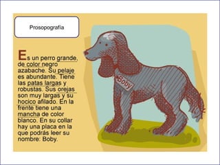Prosopografía

 