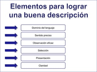 Dominio del lenguaje
Sentido preciso
Observación eficaz
Selección
Presentación
Claridad

 