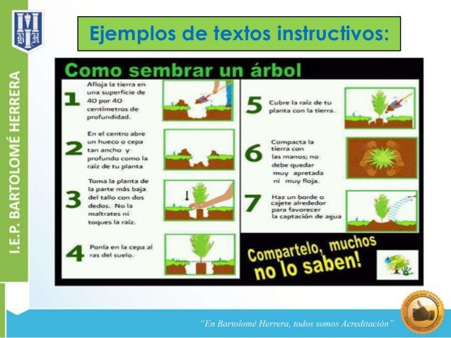 Consolato Rumeno Roma Via Serafico textos instructivos ejemplos cortos 28 images textos Consolato Rumeno Roma Via Serafico textos instructivos ejemplos cortos 28 images textos
