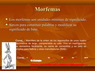 Morfemas



Los morfemas son unidades mínimas de significado.
Sirven para constituir palabras y modificar su
significado de base.
Conej_: Mamífero de la orden de los lagomorfos de unos cuatro
decímetros de largo, comprendida su cola. Vive en madrigueras,
se domestica fácilmente, su carne es comestible y su pelo se
emplea para fieltros y otras manufacturas (RAE).
Conej_ +

it
O
a
Conejita
Conejitos
Conejos
= Conejos
= Conejas
Conejito
Conejo
Conejitas

+ oa
+

+ S
a
o
+ S

+ ss
+

===

Diminutivo
Género masculinofemenino
femenino masculino
G.
Número Número
Género plural
plural
femenino
masculino
G.
Número Número plural
plural

 