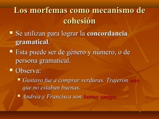 Los morfemas como mecanismo de
cohesión






Se utilizan para lograr la concordancia
gramatical.
Esta puede ser de género y número, o de
persona gramatical.
Observa:




Gustavo fue a comprar verduras. Trajeron uno
que no estaban buenas.
Andrea y Francisca son buena amiga.

 