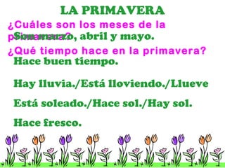LA PRIMAVERA ¿Cu áles son los meses de la primavera? Son marzo, abril y mayo. ¿Qu é tiempo hace en la primavera? Hace fresco . Hace buen tiempo . Est á soleado./Hace sol./Hay sol. Hay lluvia./Est á lloviendo./Llueve 