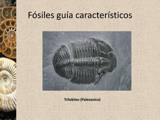 Disconformidad: el contacto está formado por una superficie irregular (paleorrelieve), que indica un periodo de erosión. Pueden faltar estratos (laguna estratigráfica).