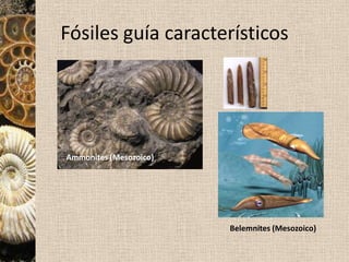 Discordancia angular: la superficie de contacto forma un ángulo entre los estratos.