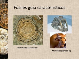 Incorformidad: depósito de sedimentos sobre rocas con otro origen (ígneas o metamórficas).ConcordanciaDiscordancia erosivaLaguna estratigráfica o hiatoDiscordancia angularInconformidad