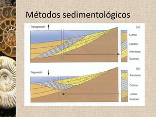Inconformidad e intrusión de un dique, afectados por una falla directa