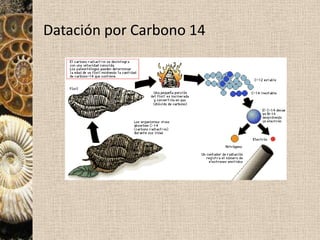 Evolución muy rápida.