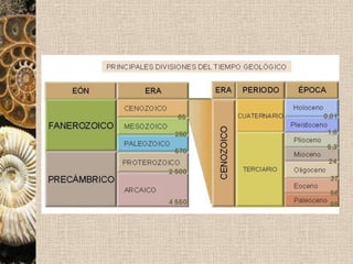 Fósiles guía característicosTrilobites (Paleozoico)