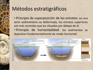 Cronología RELATIVA: métodos que establecen un orden relativo de los sucesos geológicos, del más lejano al más cercano.