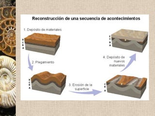  Principio de horizontalidad: los sedimentos se depositan fundamentalmente de modo horizontalMétodos estratigráficos Principio de intersección: establece que los estratos no afectados por algún acontecimiento son más recientes que dicho acontecimiento.