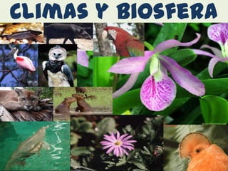 Climas y biosfera
 