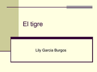 El tigre 
Lily Garcia Burgos 
 