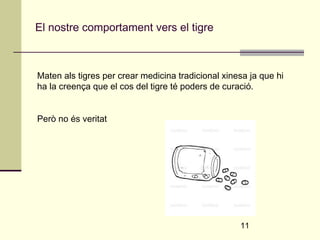 11 
El nostre comportament vers el tigre 
Maten als tigres per crear medicina tradicional xinesa ja que hi 
ha la creença que el cos del tigre té poders de curació. 
Però no és veritat 
 