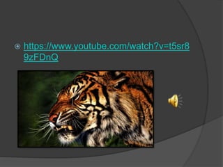  https://www.youtube.com/watch?v=t5sr8
9zFDnQ
 