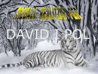 DAVID I POL 
