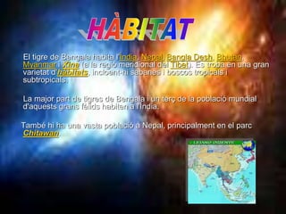 El tigre de Bengala habita l'Índia, Nepal, Bangla Desh, Bhutan, 
Myanmar i Xina (a la regió meridional del Tibet). Es troba en una gran 
varietat d'hàbitats, incloent-hi sabanes i boscos tropicals i 
subtropicals. 
La major part de tigres de Bengala i un terç de la població mundial 
d'aquests grans fèlids habiten a l'Índia. 
També hi ha una vasta població a Nepal, principalment en el parc 
Chitawan. 
 