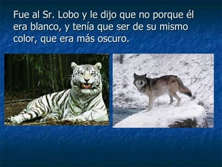 Fue al Sr. Lobo y le dijo que no porque él era blanco, y tenía que ser de su mismo color, que era más oscuro. 
