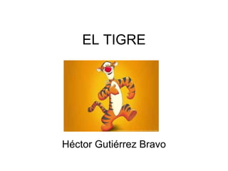 EL TIGRE Héctor Gutiérrez Bravo 