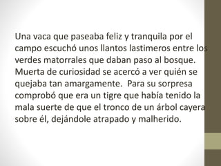 Una vaca que paseaba feliz y tranquila por el
campo escuchó unos llantos lastimeros entre los
verdes matorrales que daban paso al bosque.
Muerta de curiosidad se acercó a ver quién se
quejaba tan amargamente. Para su sorpresa
comprobó que era un tigre que había tenido la
mala suerte de que el tronco de un árbol cayera
sobre él, dejándole atrapado y malherido.
 