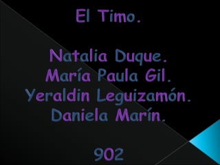 El Timo. Natalia Duque. María Paula Gil. Yeraldin Leguizamón. Daniela Marín. 902 
