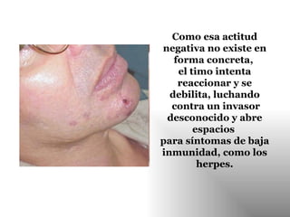 Como esa actitud negativa no existe en forma concreta,  el timo intenta reaccionar y se debilita, luchando contra un invasor desconocido y abre espacios  para síntomas de baja inmunidad, como los herpes. 