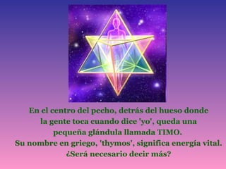En el centro del pecho, detrás del hueso donde la gente toca cuando dice 'yo', queda una pequeña glándula llamada TIMO.  Su nombre en griego, 'thymos', significa energía vital. ¿Será necesario decir más? 