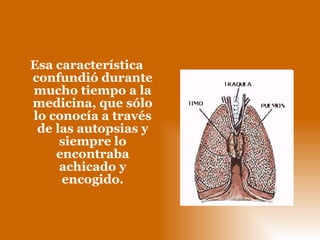 Esa característica confundió durante mucho tiempo a la medicina, que sólo lo conocía a través de las autopsias y siempre lo encontraba achicado y encogido. 