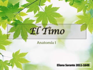 El Timo
Eliana Sarante 2011-1649
 