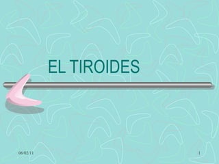 EL TIROIDES 