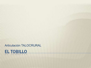 Articulación TALOCRURAL

EL TOBILLO
 