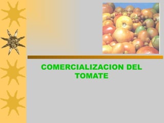 COMERCIALIZACION DEL TOMATE 