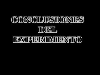 CONCLUSIONESDELEXPERIMENTO