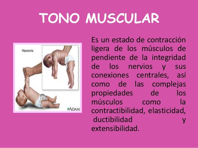 El tono muscular por Carolina Ontaneda