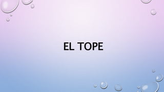 EL TOPE
 