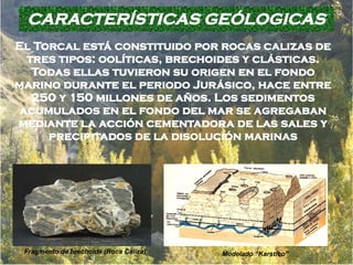 CARACTERÍSTICAS GEÓLOGICAS
El Torcal está constituido por rocas calizas de
  tres tipos: oolíticas, brechoides y clásticas.
   Todas ellas tuvieron su origen en el fondo
marino durante el periodo Jurásico, hace entre
   250 y 150 millones de años. Los sedimentos
 acumulados en el fondo del mar se agregaban
mediante la acción cementadora de las sales y
     precipitados de la disolución marinas




 Fragmento de brechoide (Roca Caliza)   Modelado “Karstico”
 