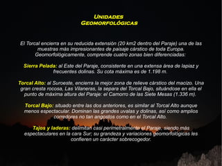 Unidades
                            Geomorfológicas


El Torcal encierra en su reducida extensión (20 km2 dentro del Paraje) una de las
        muestras más impresionantes de paisaje cárstico de toda Europa.
       Geomorfológicamente, comprende cuatro zonas bien diferenciadas:

  Sierra Pelada: al Este del Paraje, consistente en una extensa área de lapiaz y
              frecuentes dolinas. Su cota máxima es de 1.198 m.

Torcal Alto: al Suroeste, encierra la mejor zona de relieve cárstico del macizo. Una
 gran cresta rocosa, Las Vilaneras, la separa del Torcal Bajo, situándose en ella el
   punto de máxima altura del Paraje: el Camorro de las Siete Mesas (1.336 m).

  Torcal Bajo: situado entre las dos anteriores, es similar al Torcal Alto aunque
  menos espectacular. Dominan las grandes uvalas y dolinas, así como amplios
              corredores no tan angostos como en el Torcal Alto.

     Tajos y laderas: delimitan casi perimetralmente el Paraje, siendo más
  espectaculares en la cara Sur; su grandeza y variaciones geomorfológicas les
                      confieren un carácter sobrecogedor.
 