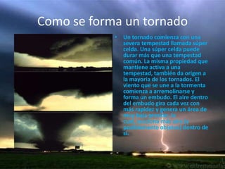 Como se forma un tornadoUn tornado comienza con una severa tempestad llamada súper celda. Una súper celda puede durar más que una tempestad común. La misma propiedad que mantiene activa a una tempestad, también da origen a la mayoría de los tornados. El viento que se une a la tormenta comienza a arremolinarse y forma un embudo. El aire dentro del embudo gira cada vez con más rapidez y genera un área de muy baja presión, la cual, succiona más aire (y posiblemente objetos) dentro de sí.