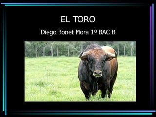 EL TORO Diego Bonet Mora 1º BAC B 