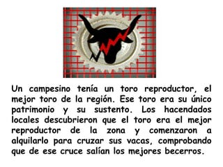 Un campesino tenía un toro reproductor, el mejor toro de la región. Ese toro era su único patrimonio y su sustento. Los hacendados locales descubrieron que el toro era el mejor reproductor de la zona y comenzaron a alquilarlo para cruzar sus vacas, comprobando que de ese cruce salían los mejores becerros. 