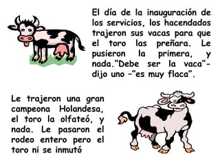 Le trajeron una gran campeona Holandesa, el toro la olfateó, y nada. Le pasaron el rodeo entero pero el toro ni se inmutó El día de la inauguración de los servicios, los hacendados trajeron sus vacas para que el toro las preñara. Le pusieron la primera, y nada.“Debe ser la vaca”- dijo uno –”es muy flaca”. 