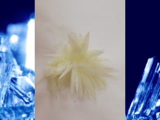 El tour de los cristales