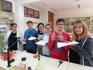 El tour de los cristales