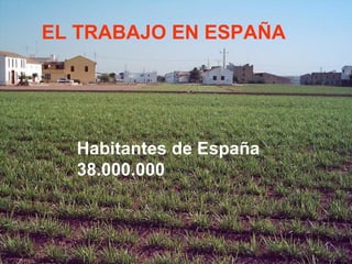 EL TRABAJO EN ESPAÑA   Habitantes de España  38.000.000  