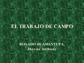 EL TRABAJO DE CAMPO ROSADO HUAMANTUPA, Jhosúe Anthony 