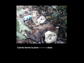 Cancha barrio la pista-------------atrás
 