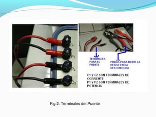 Fig 2. Terminales del Puente
 