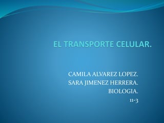 CAMILA ALVAREZ LOPEZ.
SARA JIMENEZ HERRERA.
BIOLOGIA.
11-3
 